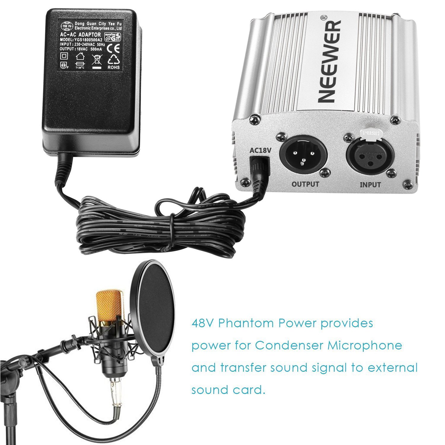 Neewer 1-Canal 48 V Phantom Bloc d’Alimentation avec Adaptateur et câble Audio XLR pour Tout Microphone à condensateur, Musique et Studio d'enregistrement, argenté