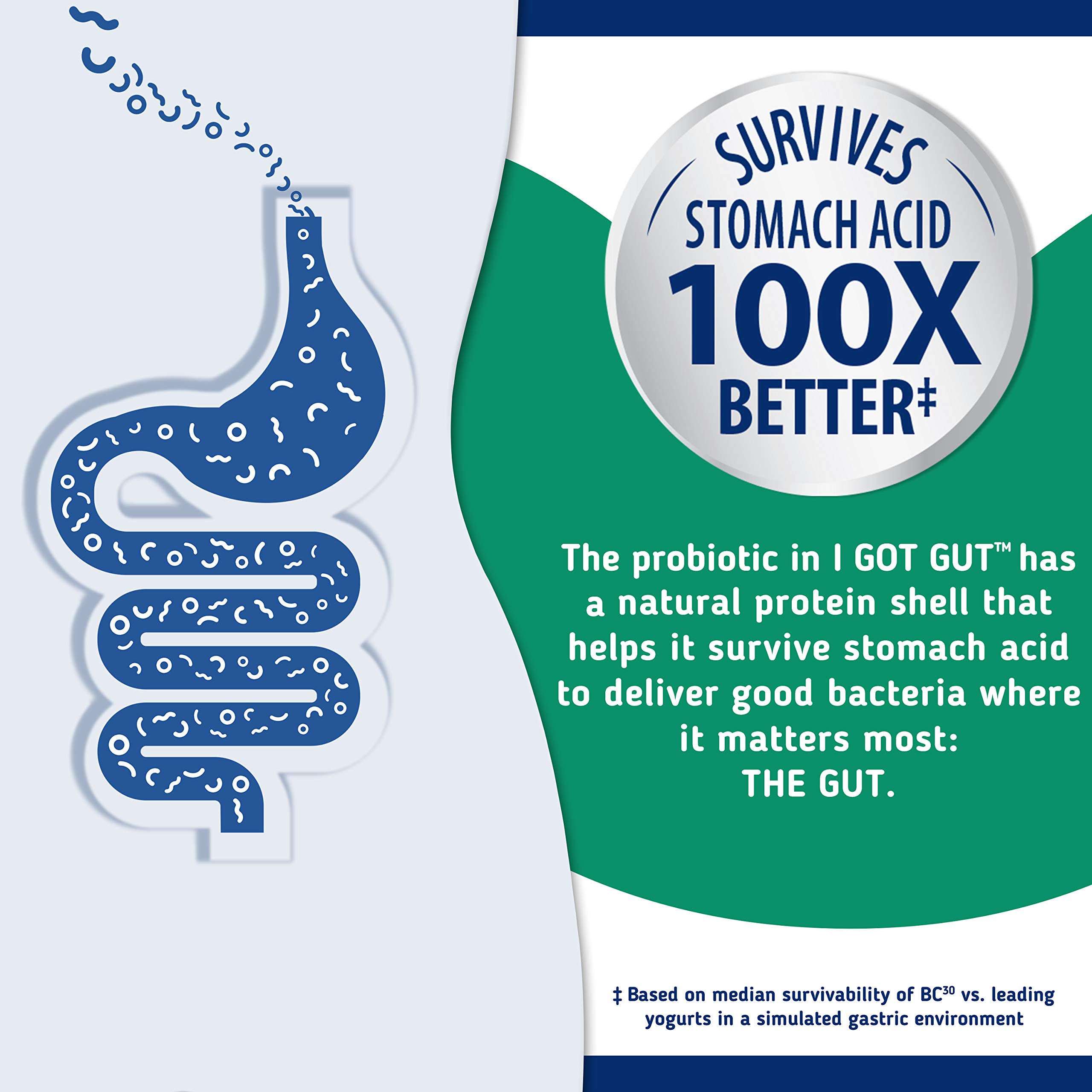 Amazon Com Probiotic Capsules For Digestive And Immune Health Bodi Ome I Got Gut 30 Count In A Box Clinically Proven Shelf Stable Probiotics For Women Men Adults Microbiome Health Gluten Free Cfus Health Amazon Com Probiotic Capsules For Digestive And Immune Health Bodi Ome I Got Gut 30 Count In A Box Clinically Proven Shelf Stable Probiotics For Women Men Adults Microbiome Health Gluten Free Cfus Health