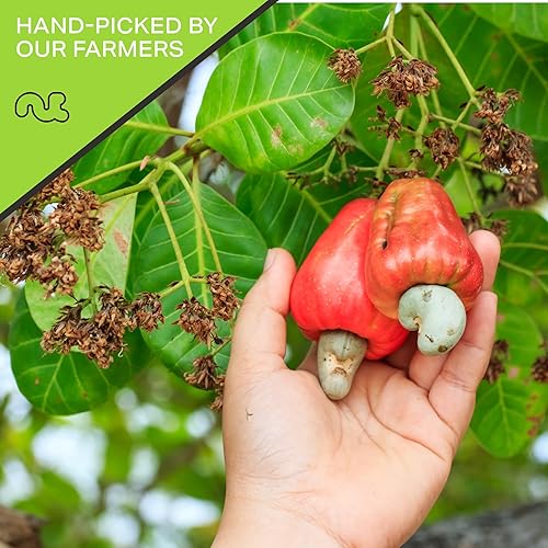 Miniatura 4 de Nut Cravings - Mitades y piezas de anacardo crudo, sin sal, sin cáscara, superiores a orgánicas (48 onzas - 3 libras) Nueces a granel empaquetadas