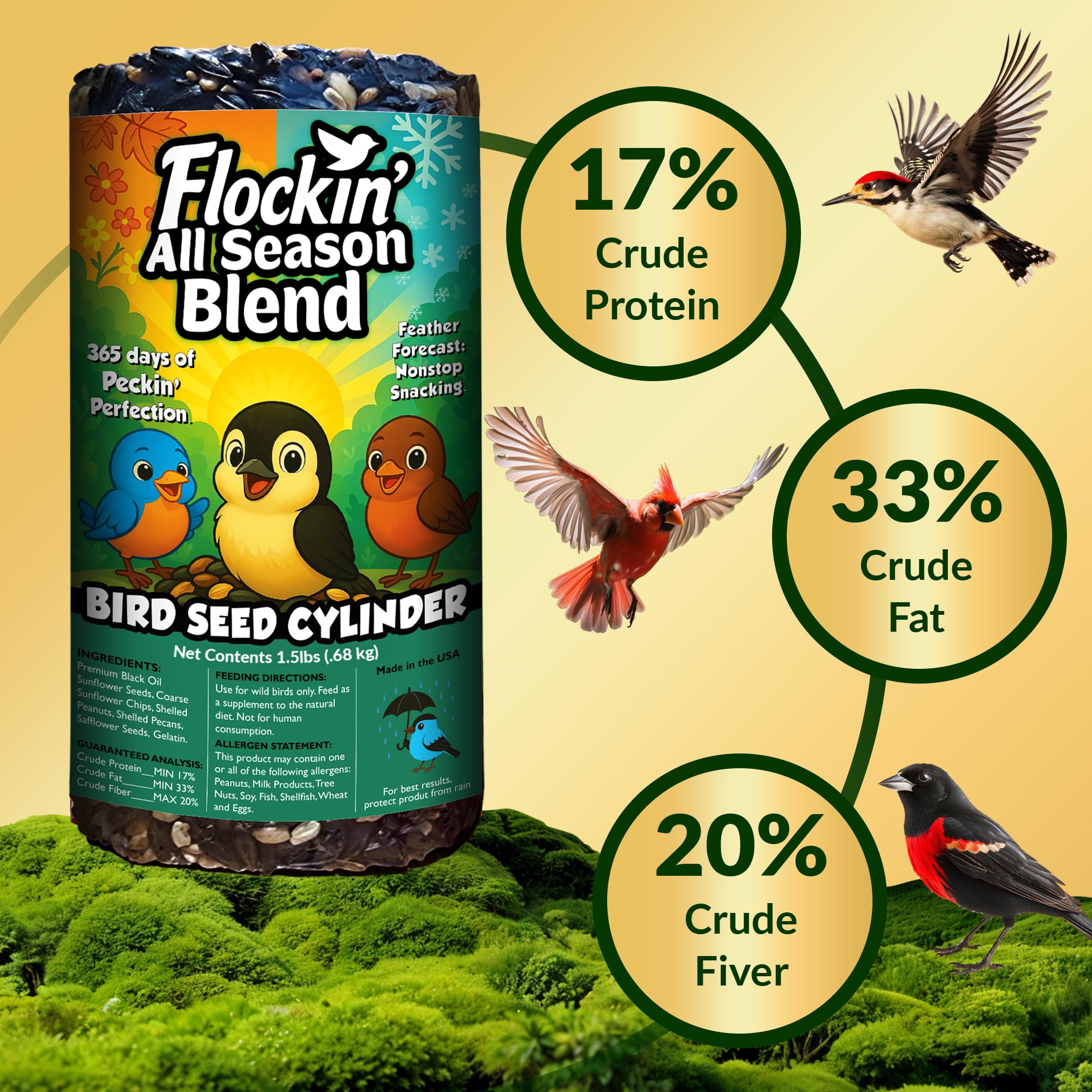 Cilindro de semillas de pájaros para todas las estaciones con agujero, alimento para pájaros silvestres durante todo el año para Blue Jays, palomas, pinzones y más, mezcla equilibrada de alta energía