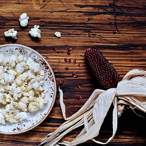 Miniatura 5 de Semillas de maíz (orgánicas)  Blue Hopi  1 onza  Semillas vegetales, semillas de reliquia, semillas orgánicas de rápido crecimiento, culinarias