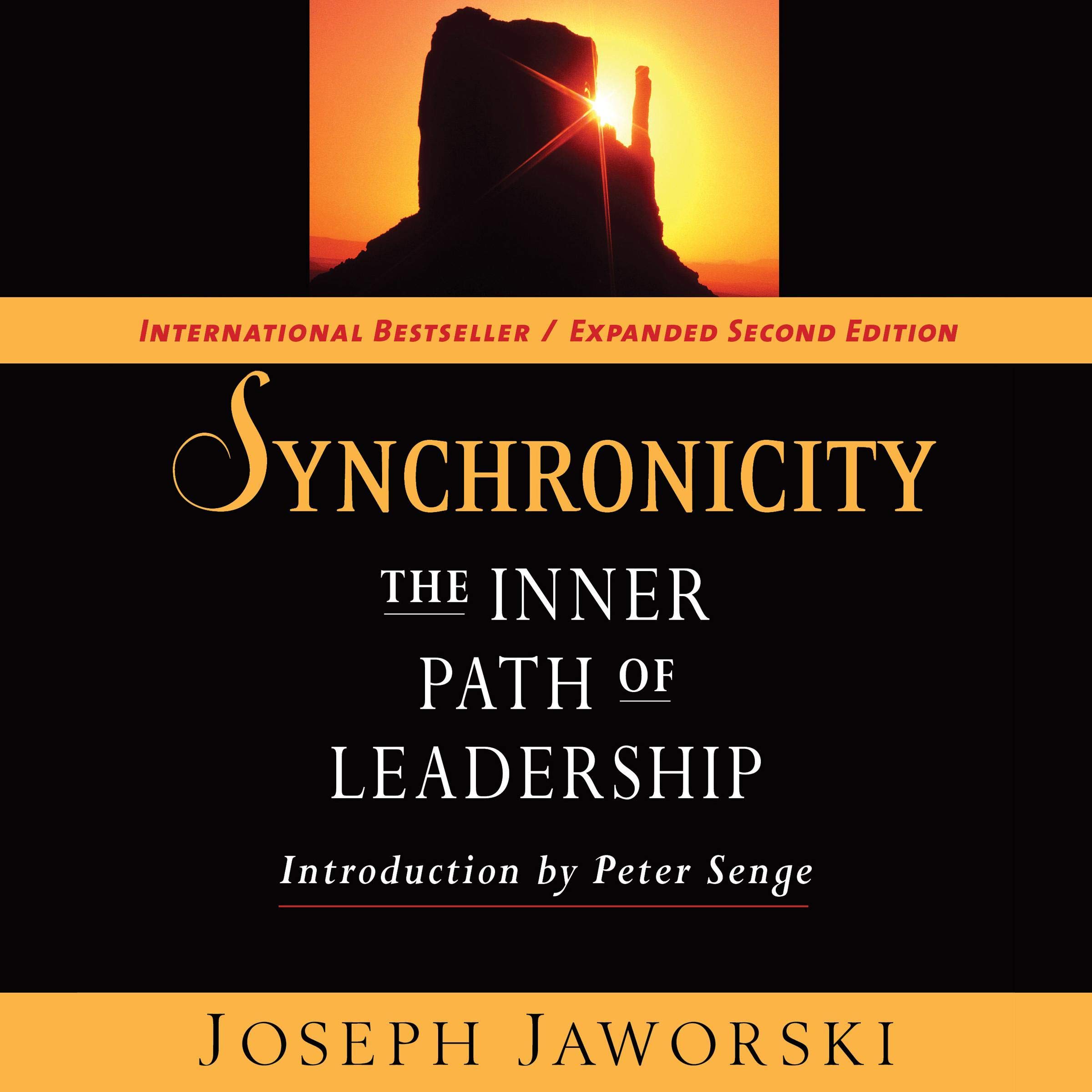Cover art for Synchronicity