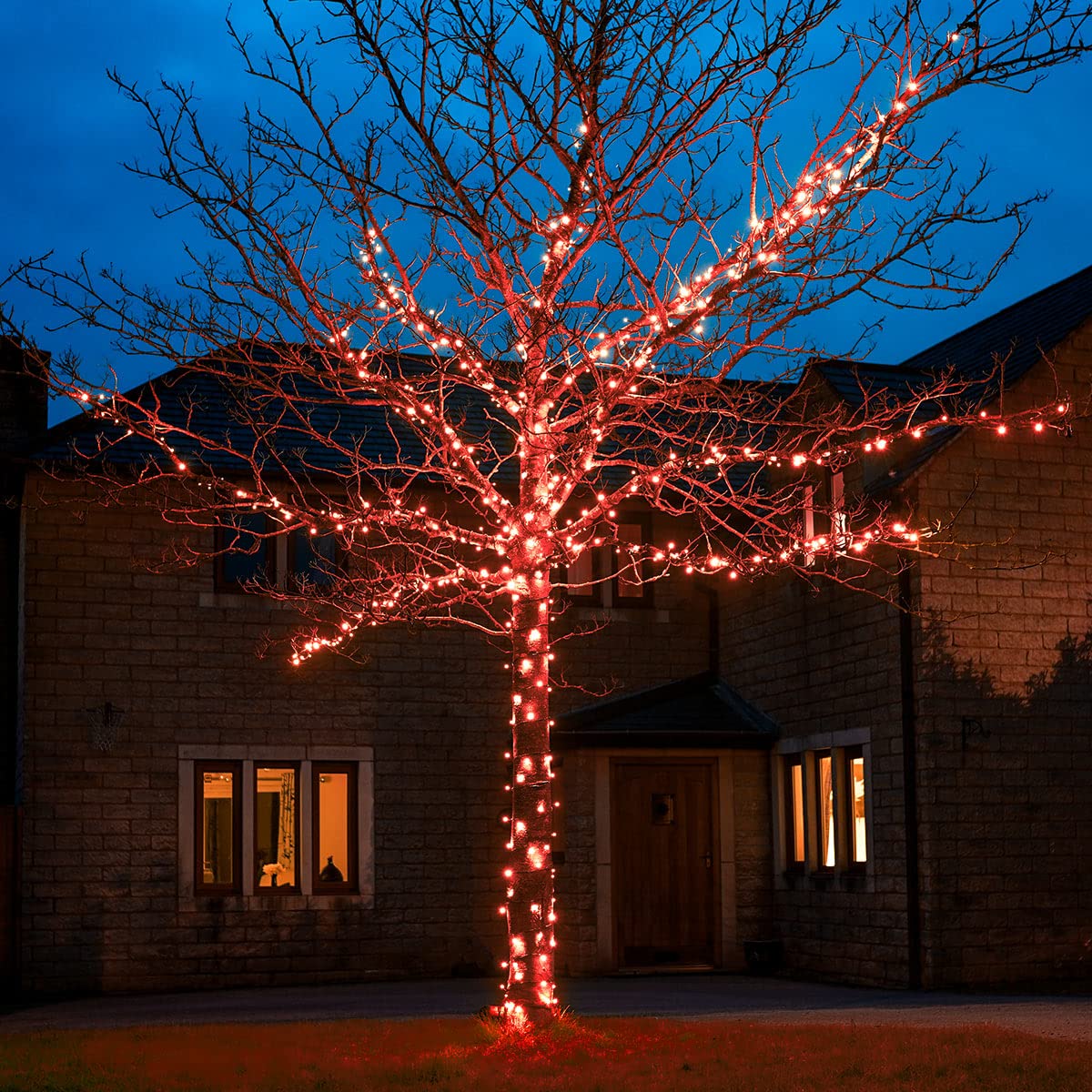 Festive Lights - ConnectGO Connectable Outdoor Fairy Lights - Mains Powered LED String Lighting - Christmas, Garden, Wedding & Party (Red, 50m)