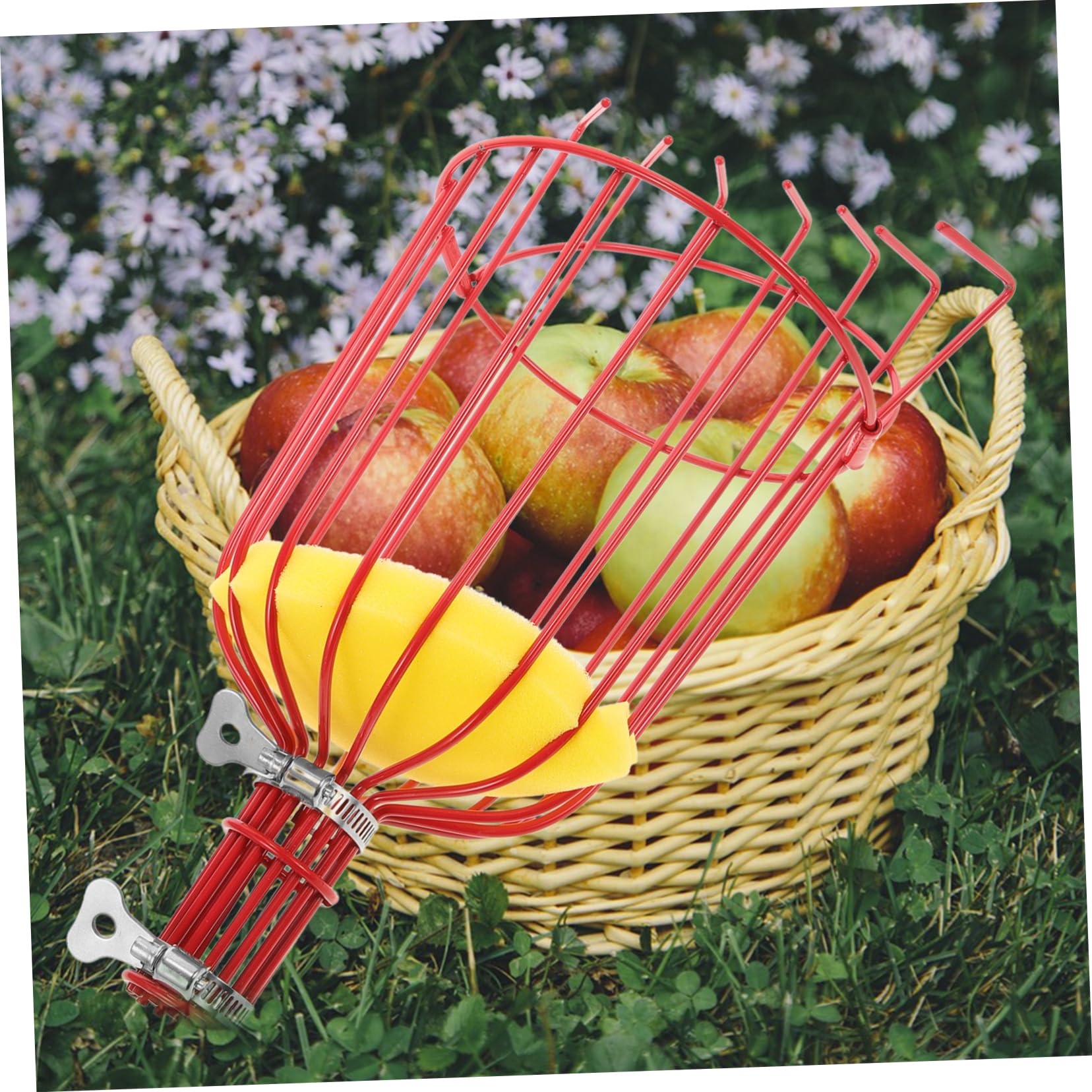Aste E Strumenti Raccoglifrutta Professionali Raccoglitori Di Frutta Per Mele E Dispositivi Di Raccolta Frustrua Senza Scale Realizzati in Materiale Resistente E Duraturo