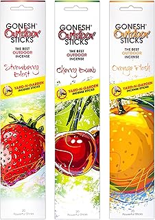 Gonesh Outdoor Collection - Incense Sticks Variety Pack - Non-Toxic 10” Slow Burn Aromatic Sticks - Strawberry Blast, Cherry Bomb, Orange Flash - 20 Count Each