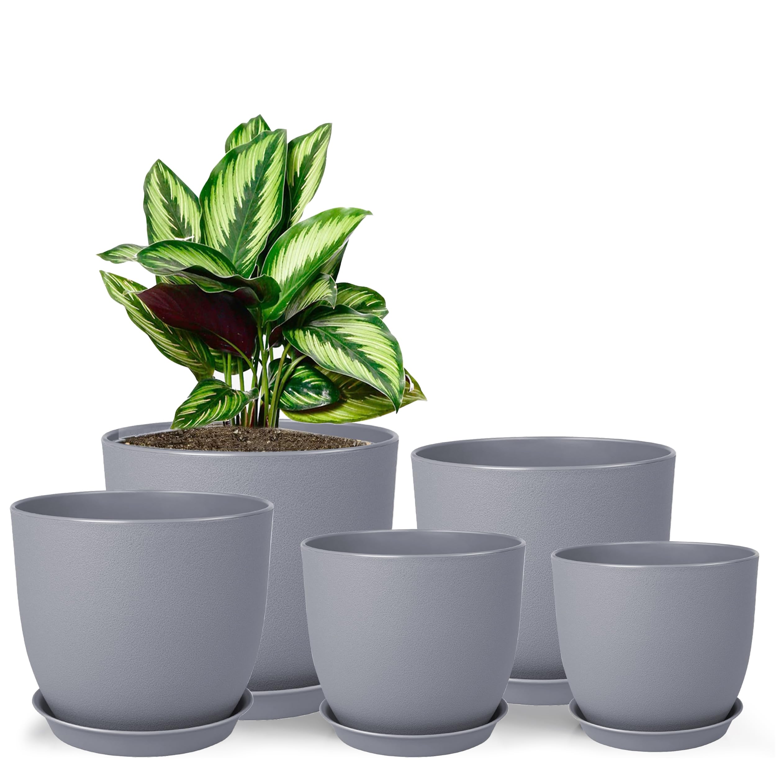 MUAEEOK Set of 5 Plant Pots 25/23/20/18/16 CM, Modern Decorative Plastic Planters with Drainage Holes and Saucers Plastic Flower Pots Nursery Planting Pot for House Indoor Flowers Plants (Grey)