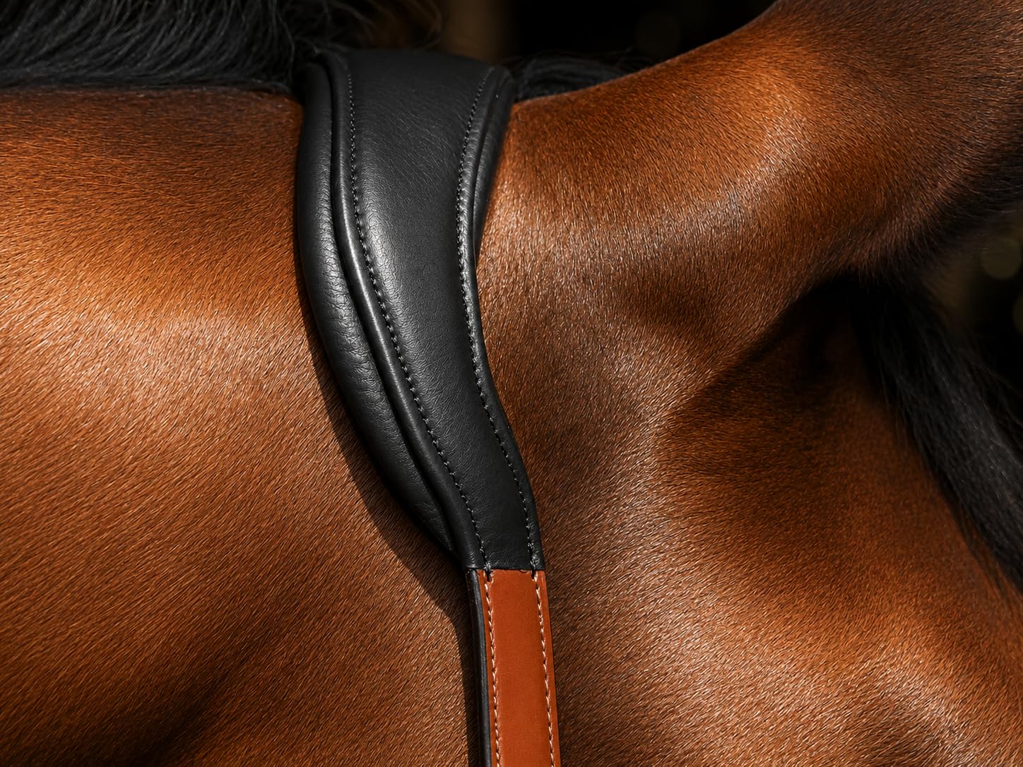 Tysons Breeches Don Lederhalfter BI Color Cognac Halfter Leder Rindsleder SUPER Soft Neck Braun Schwarz ergonomisch EDEL Superweich VB WB X Full (Vollblut)