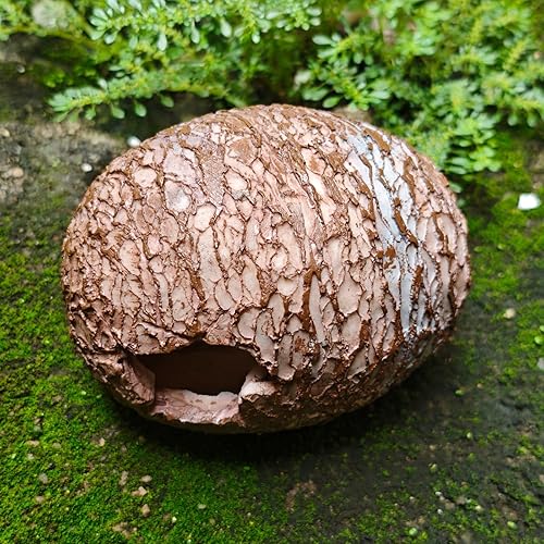 Egg-Shaped Reptile Hide Cave for Terrariums & Aquariums - Resin Hideout with Two Entrances - Compact Size for Small Pets (4.33 x 3.35 x 3.35 in)