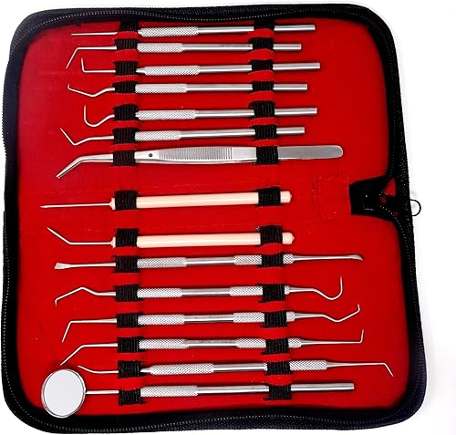 Miniatura 11 de Kit de 4 puntas dentales para cuidado bucal de acero inoxidable para higiene dental, raspador de dientes profesional, sarro, escalador dental