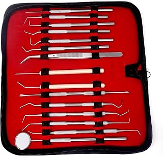 Dental Care Set Dentist Tools Kit of 15 Pcs Professional Calculus and Plaque Remover Dental Hygiene Set Made of Stainless Steel Tarter Scraper, Tooth Pick and Mouth Mirror for Teeth