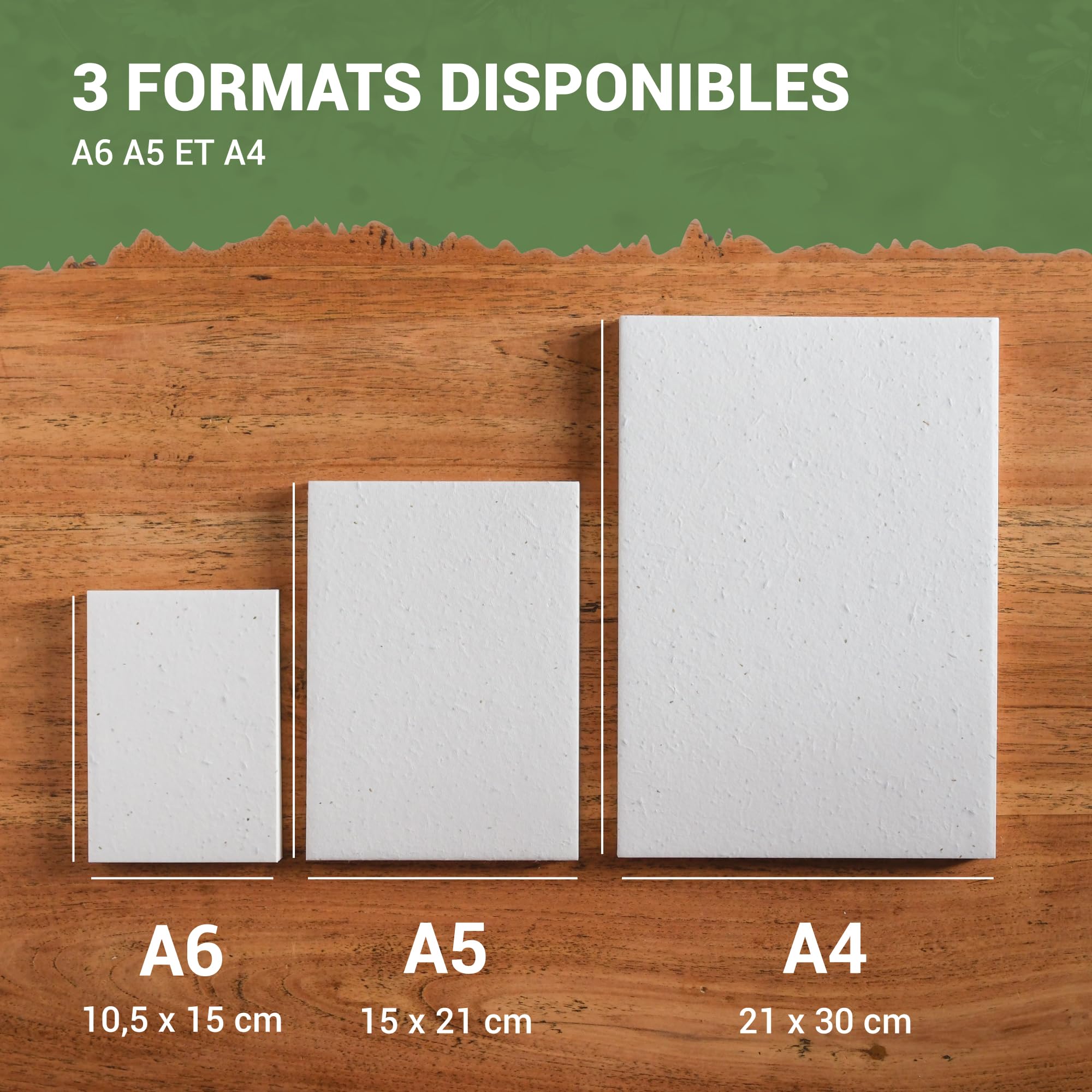 Blooming Seed Paper - 50 Fogli per la Piantumazione - Formato DIN A4, 150 g/m² - 21 x 30 cm - Bianco - In bianco - Semi di Fiori Selvatici Biodegradabili - Per Carte, Inviti, Stampe