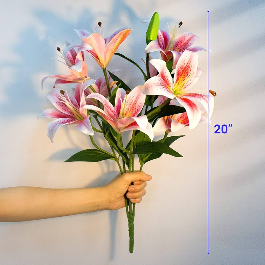 814VBjXKJtS._UF894,1000_QL80_.jpg