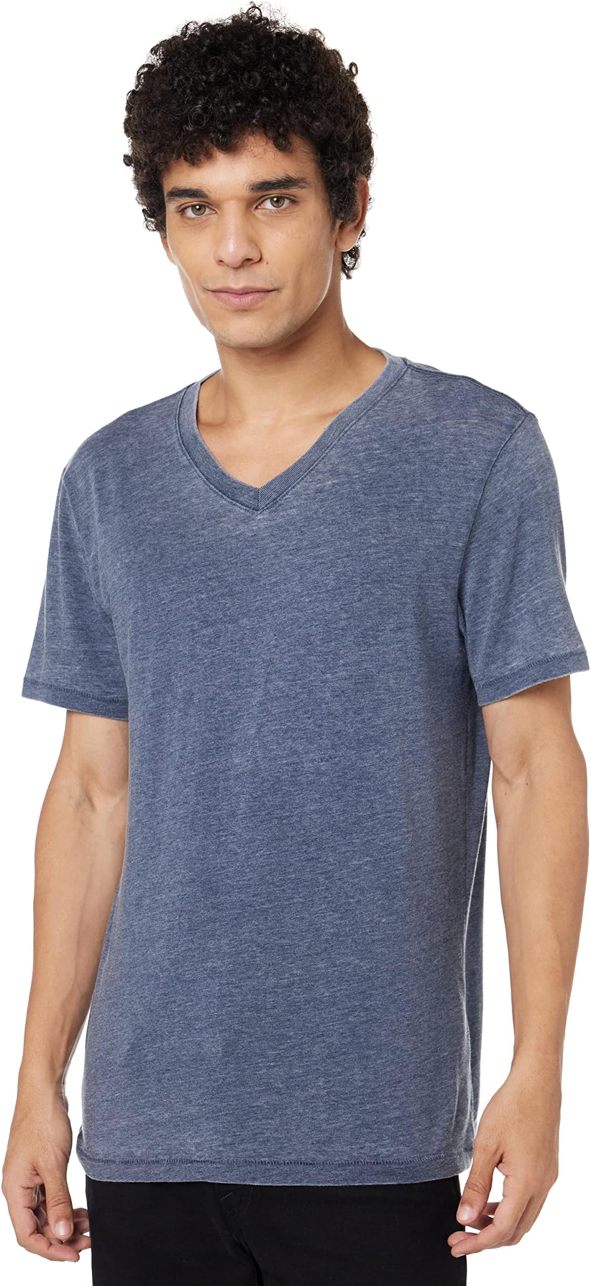 Mens Venice Burnout V Neck Tee