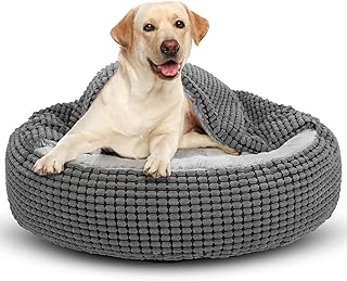 JOEJOY Hundebett Grosse Hunde, Katzenbett Rund mit Decke, Hundekorb Waschbar Flauschig, Hundebetten für Katzen und Mittlere Grosse Hunde, 79x79x20cm product image