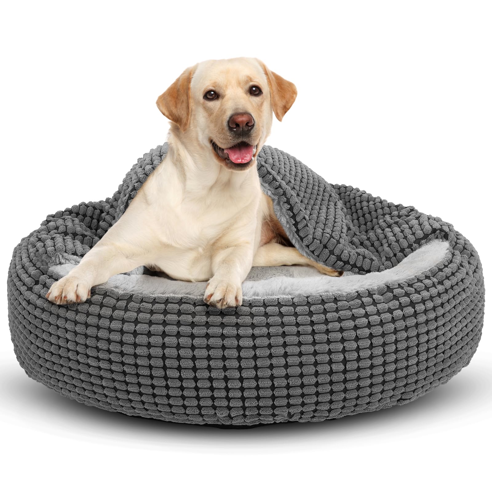 JOEJOY Cuccia Cane Interno Taglia Grande, Cuccia per Cani Rotonda Soffice Lavabile Cuccia Gatto con Coperta, Può Ospitare Animali Domestici Fino 18kg(79x79x20cm)