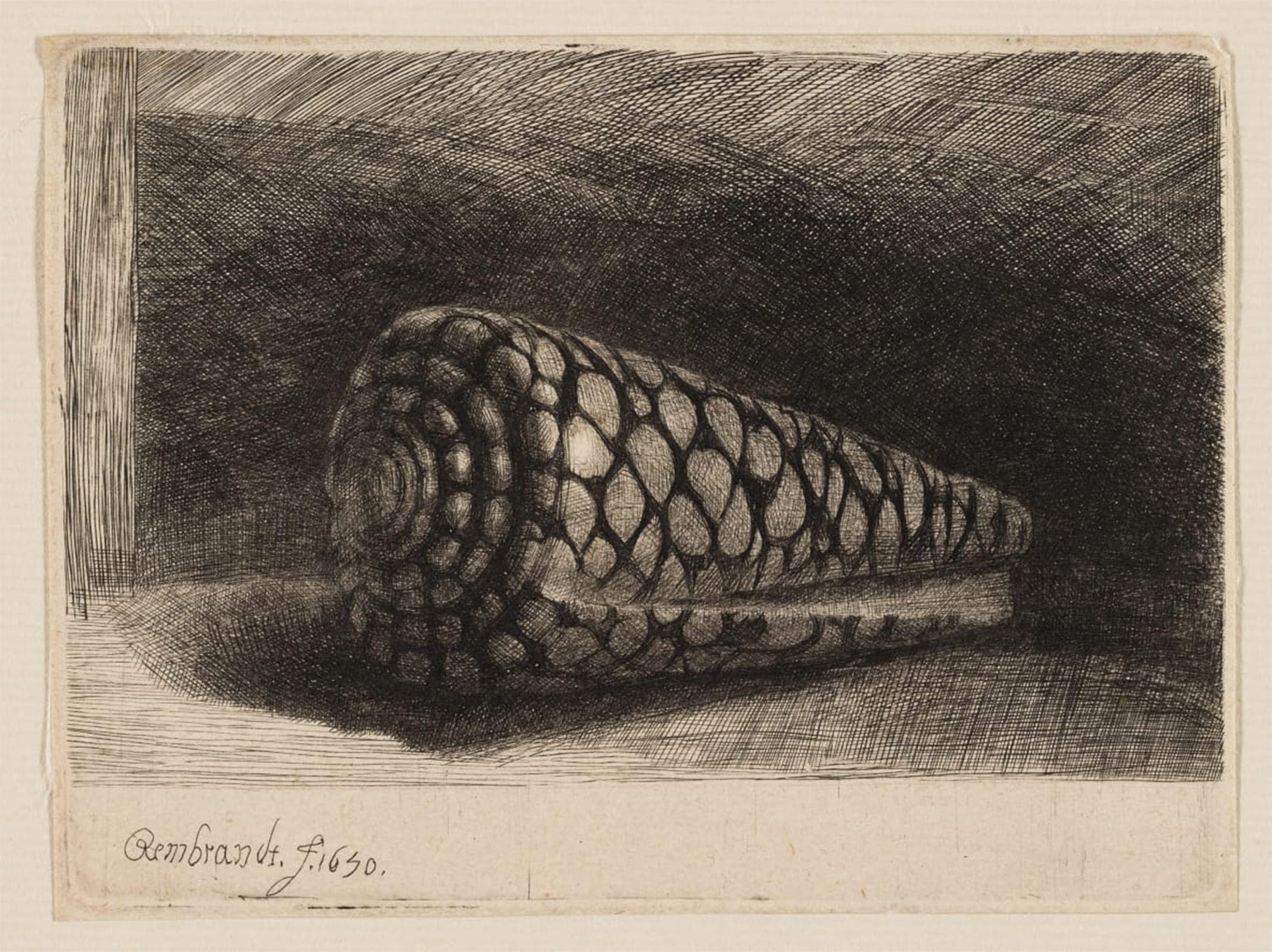 SERENDIPITP Vintage Picture Print on Canvas Wall Art Poster The shell by Rembrandt van Rijn Artwork Print Poster for Wall Decor 60x90cm