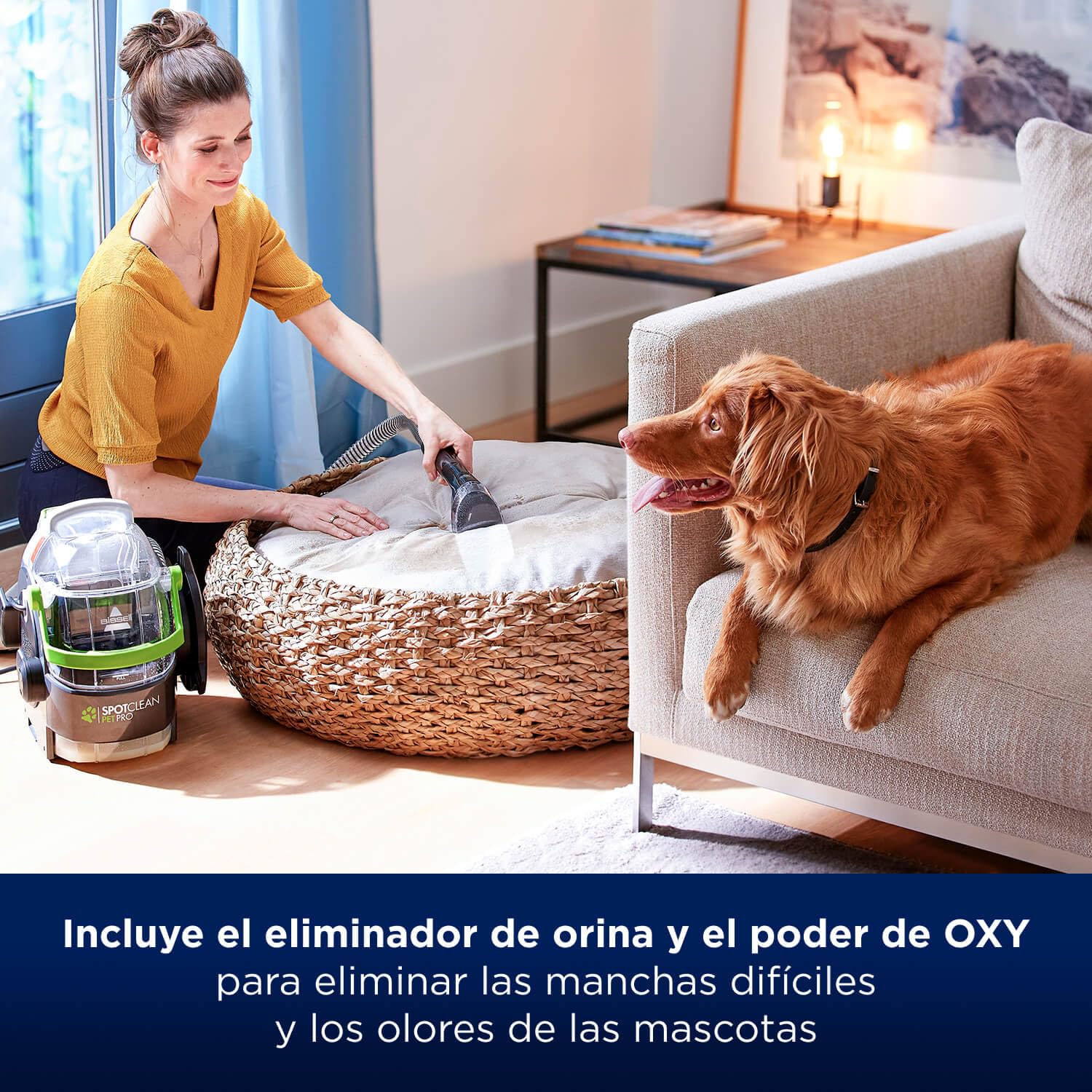 BISSELL® Spot & Stain Pet Pro Oxy | Soluzione per la pulizia per lava-moquette portatili BISSELL® SpotClean | Per l'utilizzo su moquette, tappezzeria, tappetini e interni auto | 20343