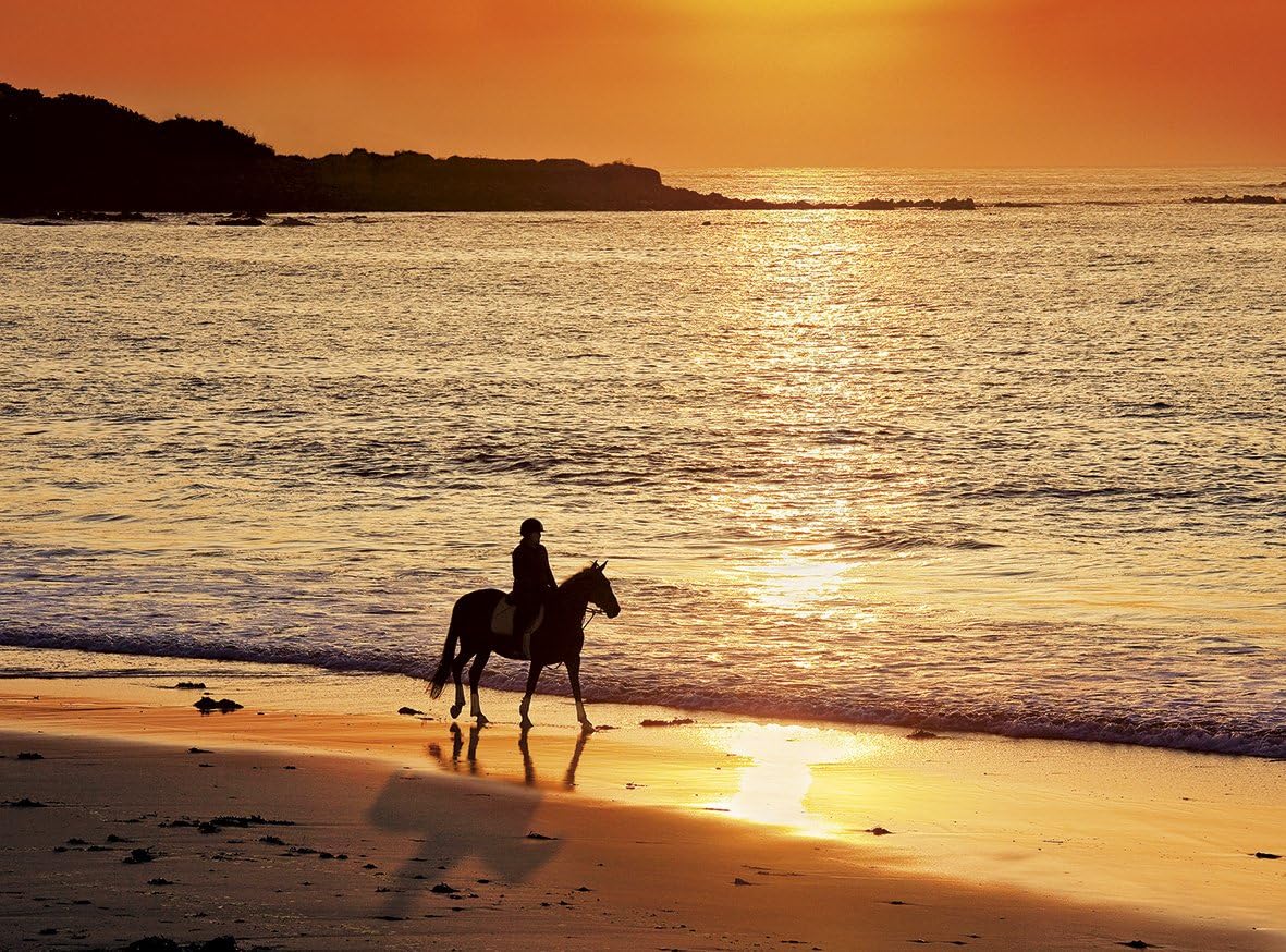 Clementoni "Walk At Sunset" Puzzle (500 Piece)