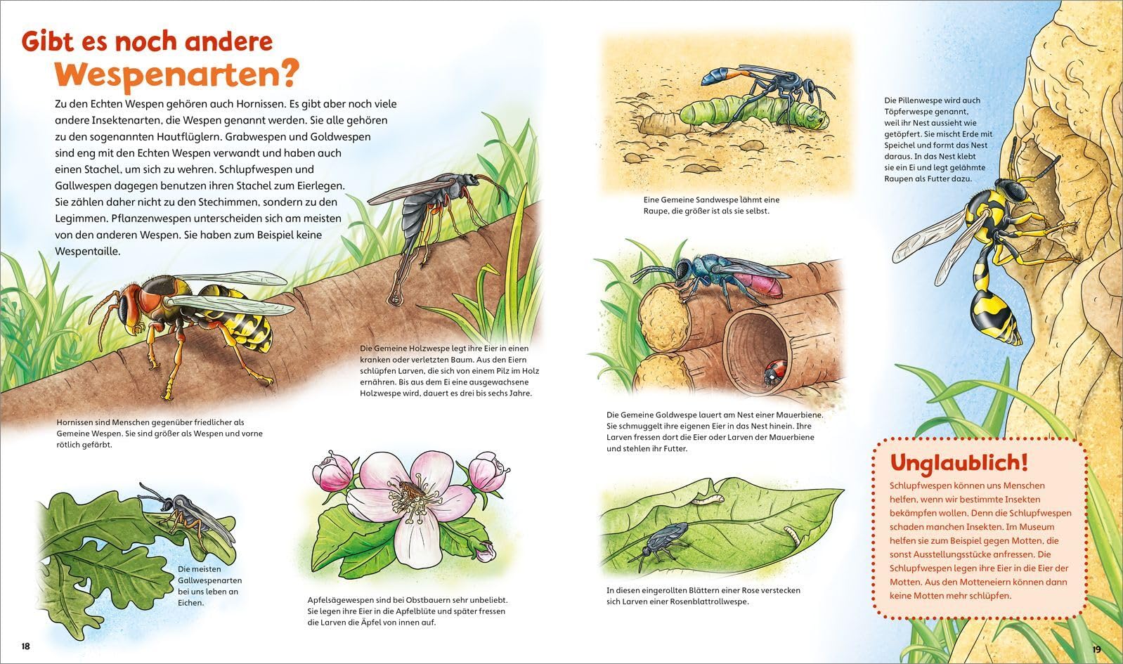 WAS IST WAS Junior Band 34 Bienen, Wespen, Hummeln