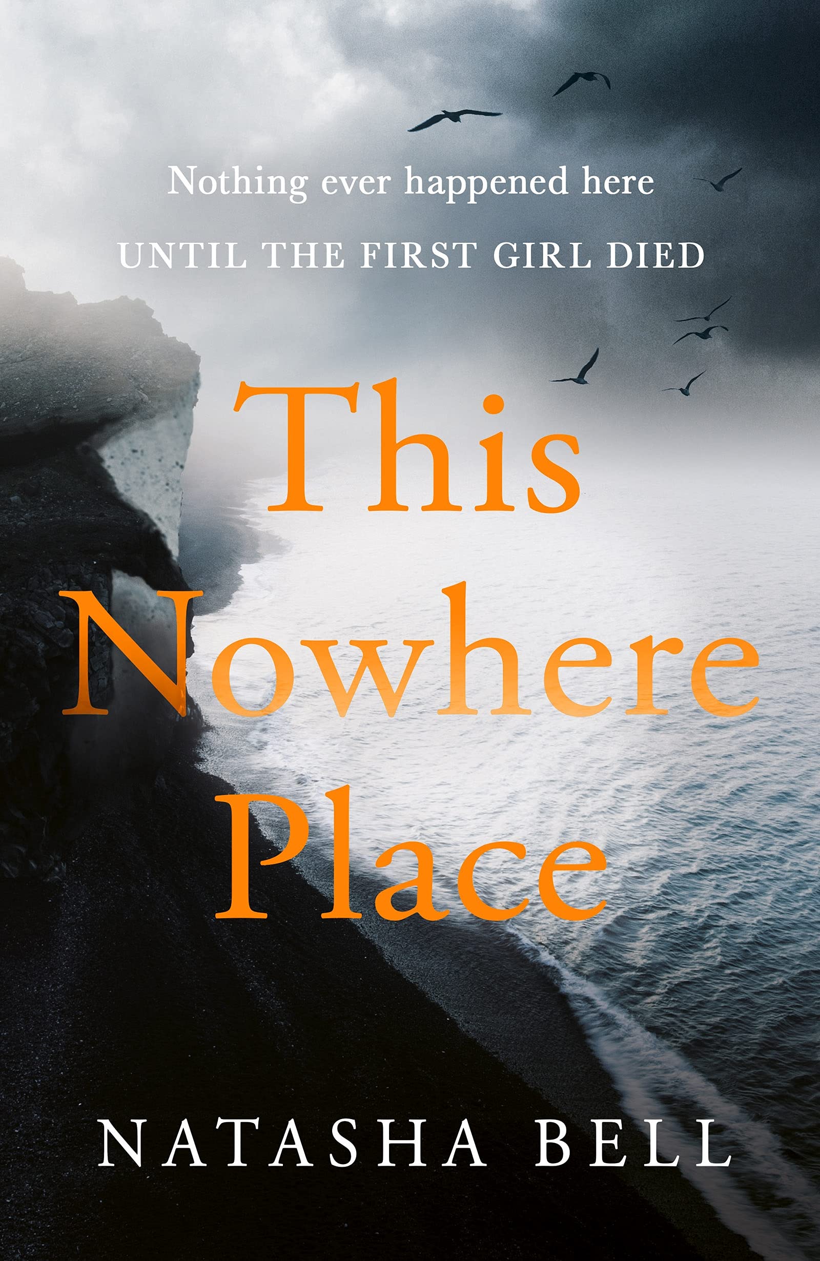 Buy This Nowhere Place: Everything You Need to Know, From Bridles and Breeds to Jodhpurs and Jumping! — BookShops.in