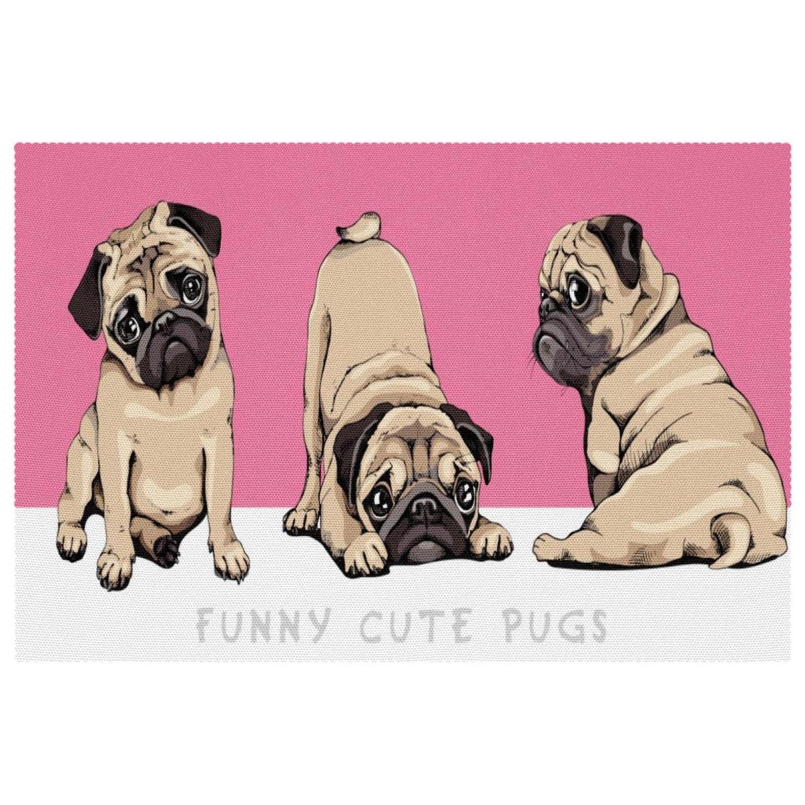 Sets de table carlin originaux lot de 6 idée cadeau déco idéale pour amoureux des chiens