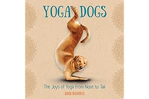 Yoga Dogs: A Humorous Gift Book for Dog and Yoga Lovers: 2022 Wall Calendar