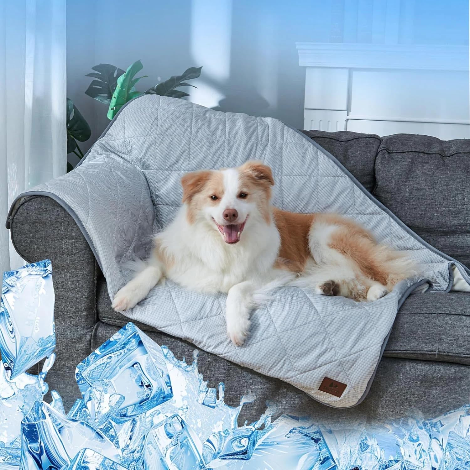 Snocyo Dog Cooling Mat 125x106 cm (Q-Max >0.4), Waterproof Reversible Pet Cooling Blanket for Extra Large Dogs, Washable Dog Bed Cover 3 Seater Sofa Protector and Floor Mat