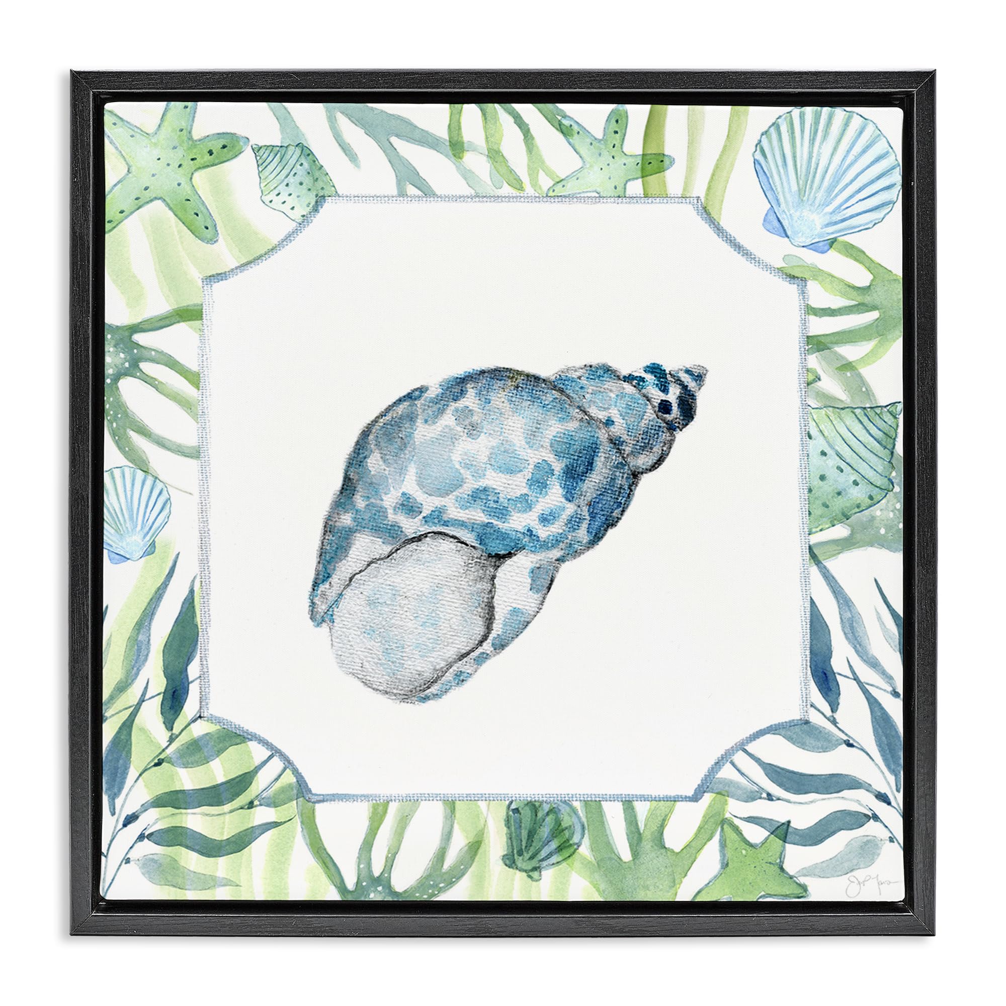 Stupell Industries Jet Black (Matte) 'Spotted Cowrie With Seaweed'| Floating Frame Canvas Art