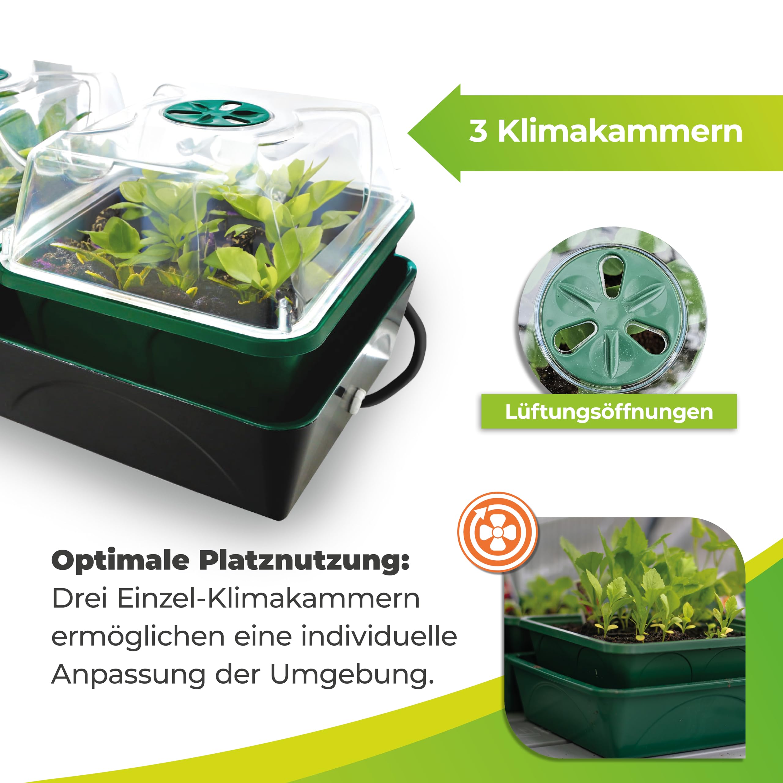 Bio Green HOL 3 Hollandia Serre D'intérieur Chauffée avec Réservoir d'eau