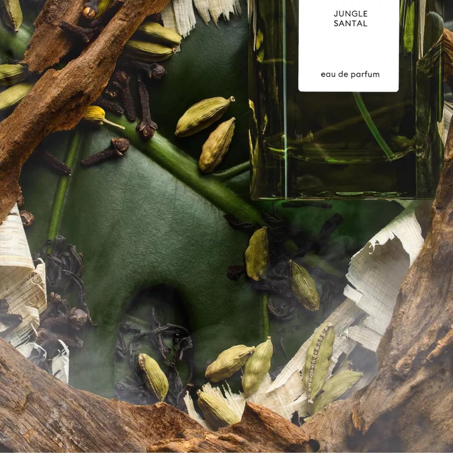 Fine'ry Woody Jungle Santal Eau de Parfum - Long Lasting Perfume for Women & Men, Unisex Cologne - Earthy, Smoky, Leathery - Papyrus Wood, Cardamom, Black Tea, Full Size Fragrance (60mL) - Image 3