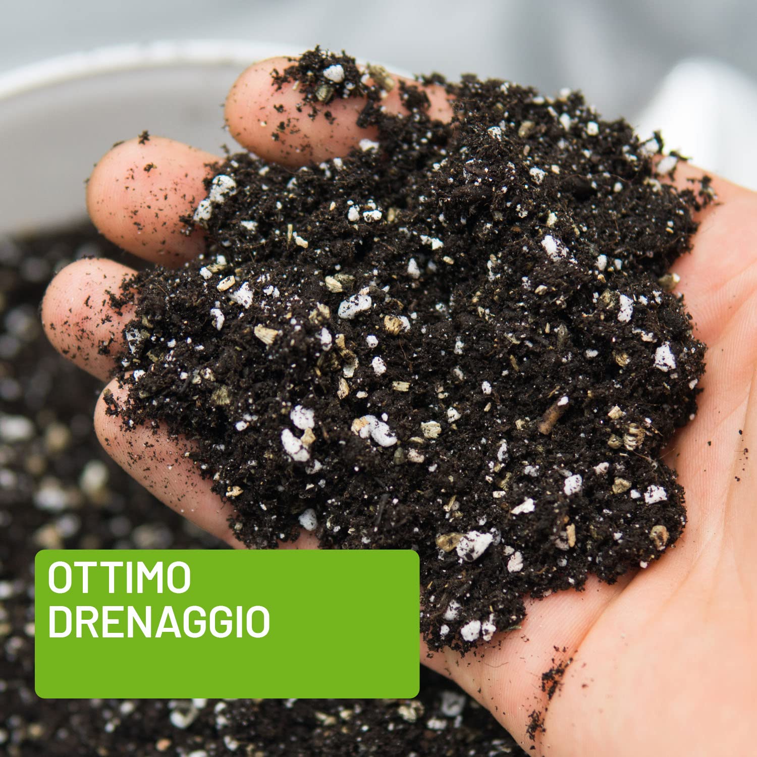 ZOMA Terriccio Per Agrumi Professionale - Con Humus Di Lombrico E PH Acido, Sacco Da 2 Litri - Foto 7