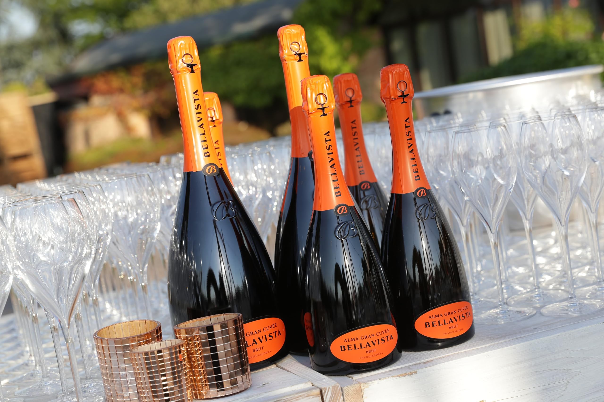 Amazon.co.jp: ベラヴィスタ FRANCIACORTA ALMA CUVEE BRUT