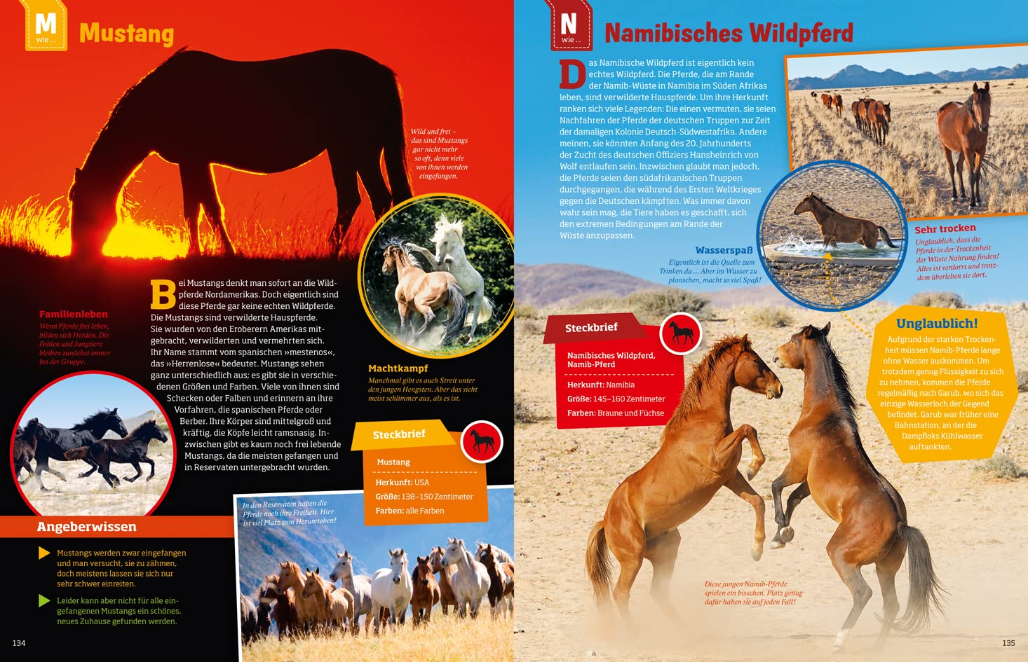 Was ist was: Pferde und Ponys: mehr als 100 Pferderassen und ihre Besonderheiten, über 650 Fotos!