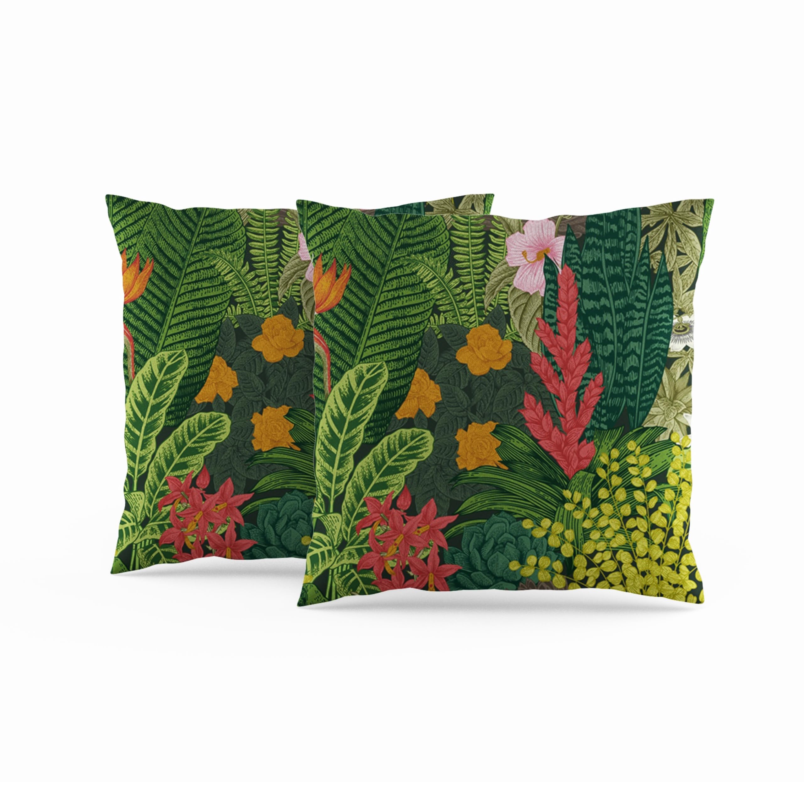50x50cm Juego de 2 Fundas de cojín Flores Hojas Plantas Tropicales Pijotero Vistoso Antiguo Exótico Fundas de Almohada Decorativas para Mujeres Familia Jardín Ropa de Cama Sofá Cama Salón