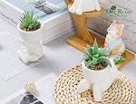 Der Rose 3Pcs Fake Plants Artificial Succulents Plant for Office Desk Shelf Home Room Accessories Decor Indoor