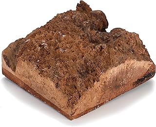 Woodcraft Australian Red Coolibah Burl Turning Blank 1Kg-2Kg 1-Piece
