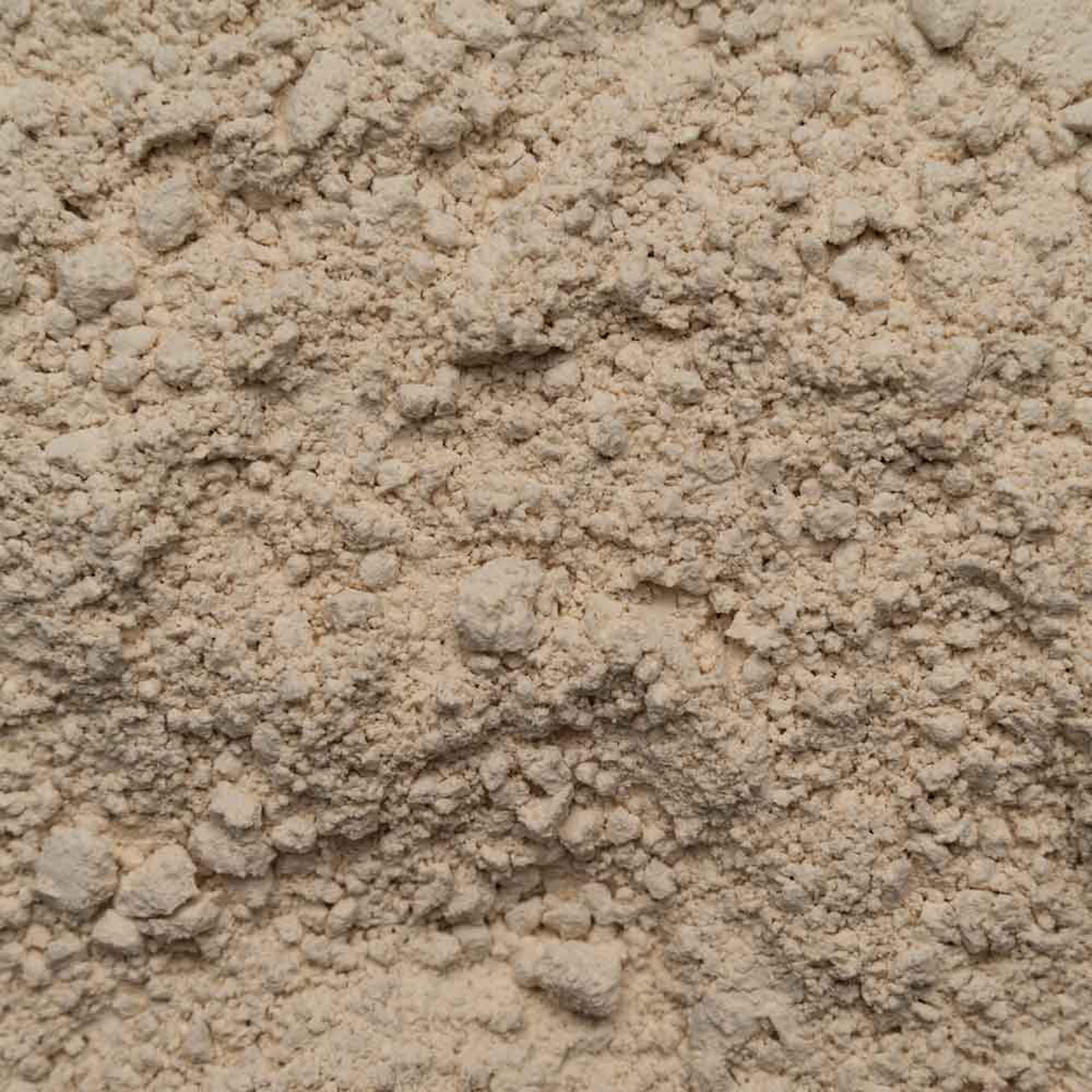 Reisprotein Bio 80% Protein - vegane Proteinquelle - ohne Zusätze - Frei von Gluten Soja und Lactose - Top Bio Qualität - Abgefüllt und kontrolliert in Deutschland - Biotiva