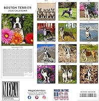 Vista 1417 de Razas de Perros 2017