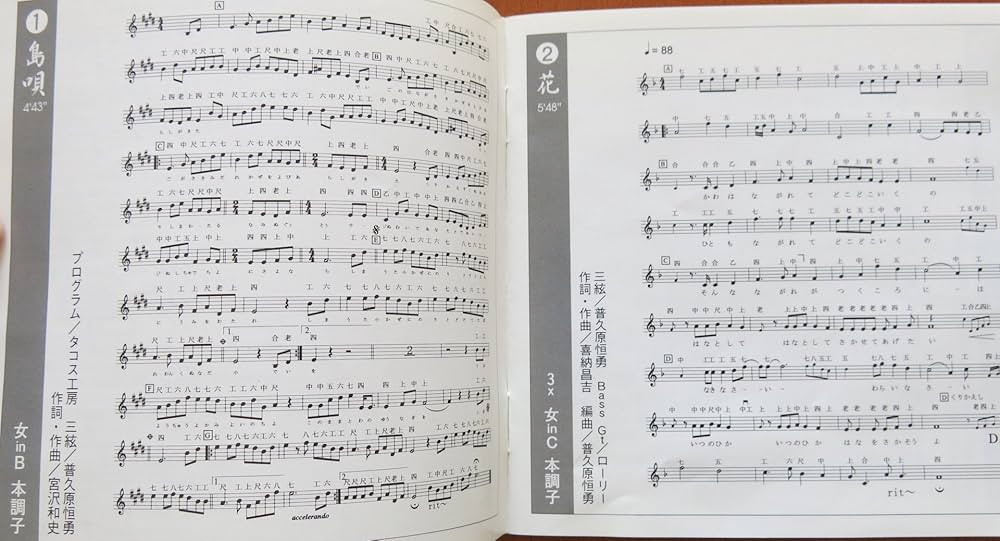 練習用民謡名曲集 [CD] CD】練習用 民謡名曲集 | つは琉球店