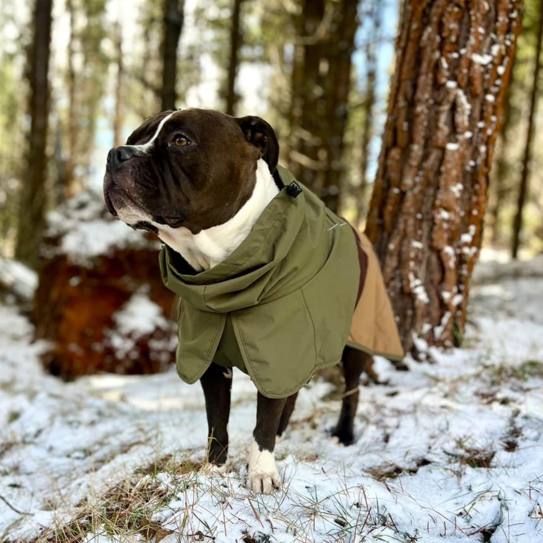 Spark Paws Hunderegenmantel, wasserdichte Winddichte Regenjacke, für kleine, mittlere, große und extra große Hunde, reflektierend, atmungsaktiv, mit vollständigem Körperschutz - Green Brown Tan - L