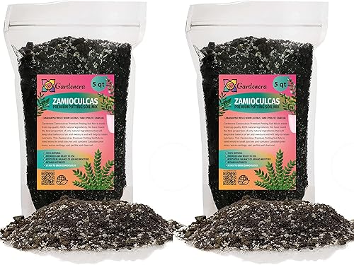 Miniatura 4 de Mezcla para macetas Zamioculcas de primera calidad, eleva tu espacio con una elegancia llamativa y una belleza distintiva, 4 cuartos de galón