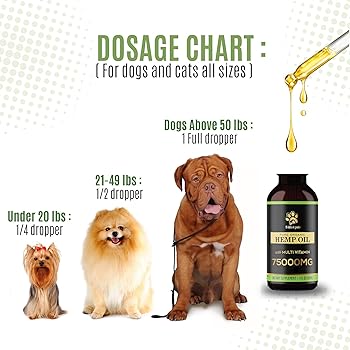 Quizzes Dominant Or Submissive Find The Perfect Training Style For Your Dog Cavieland Dogs And Kids Your Dog Dog Personality