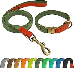 QRDA Ensemble Collier et Laisse pour Chien Vert Militaire Collier Personnalisé Ceinture Tactique Réglable pour Chien Petits Chiens Chiens Moyens