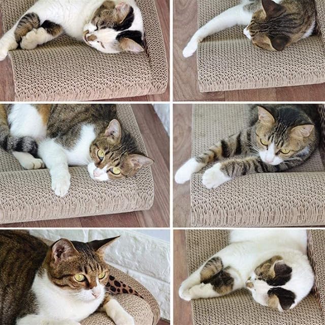 Foto 3 de 6 de DHGTEP Rascador De Cartón para Gatos, Sofá De Cartón Corrugado para Arañar Gatos