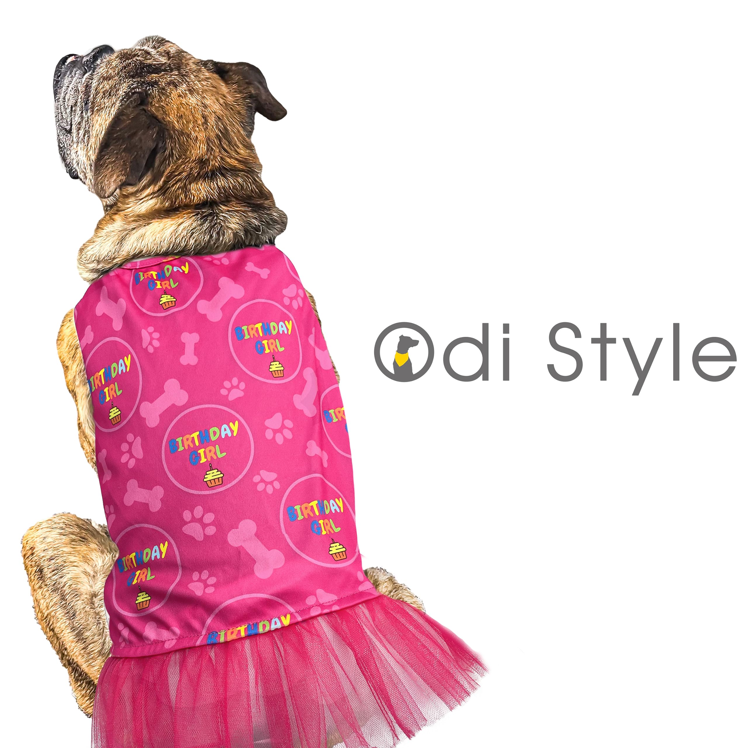 dog first birthday dress First Birthday Pastel Tutu Dress main image 0