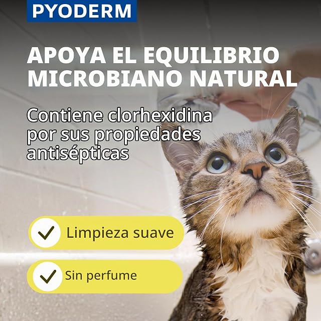 Foto 3 de 8 de Pyoderm Champú Dermatológico 250ML para Pieles con Desequilibrio Microbiano para Perros Y Gatos