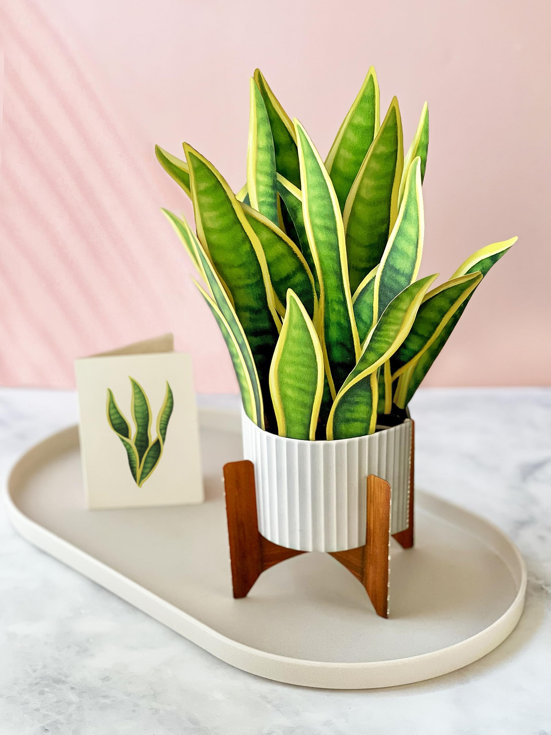GREETING ART Cactus Garden Pop Up Card, 8.9 Cm Paper House - View #3