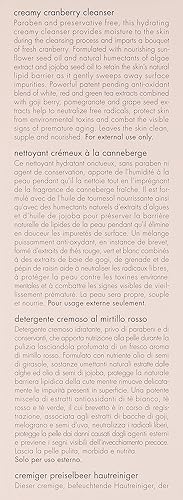 Miniatura 3 de June Jacobs Limpiador cremoso de arándanos, 6.7 onzas líquidas