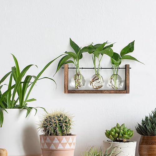 Miniatura 26 de YIBOT Estación de propagación de macetas para colgar en la pared, florero de cristal para plantas hidropónicas, terrario de plantas con soporte