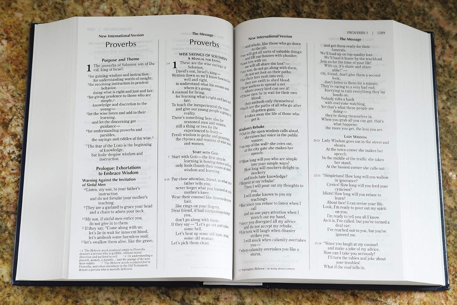 NIV, The Message, Parallel Bible, Large Print, Hardcover: Two Bible Versions Together for Study and Comparison